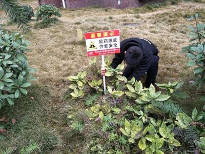 除四害